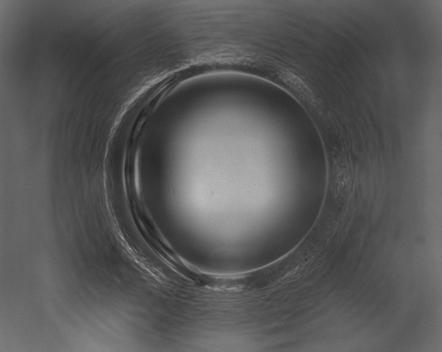 X0000053000680200507081234