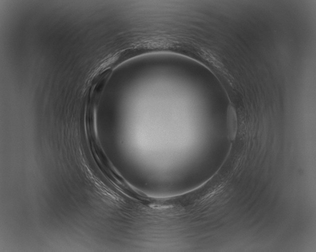 X0000053000681200507081234
