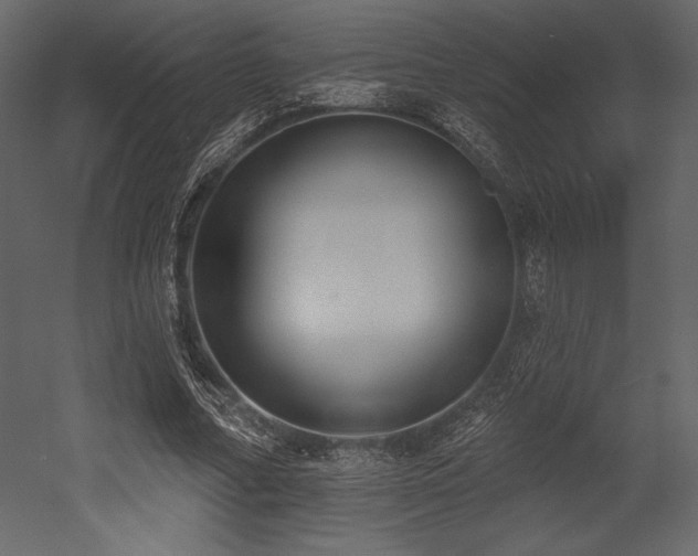 X0000053000682200507081234