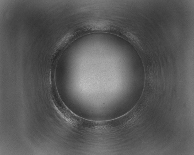 X0000053000686200507081234
