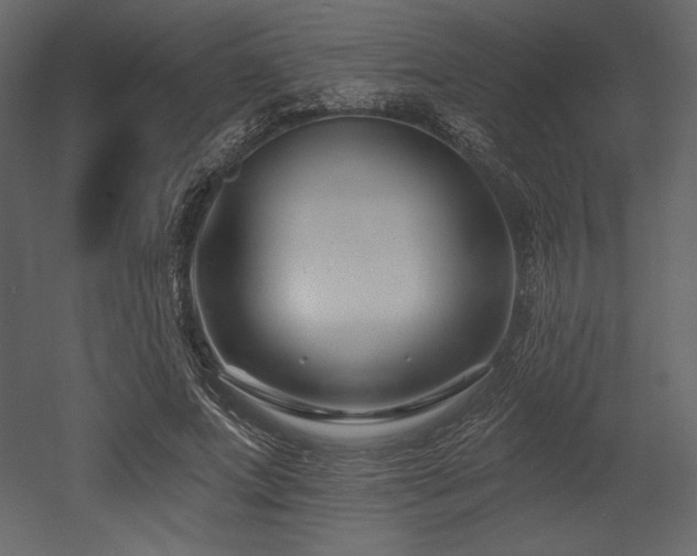 X0000053000687200507081234