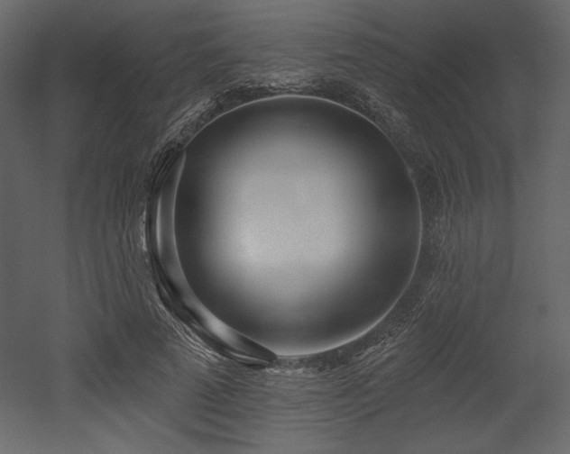 X0000053000689200507081234