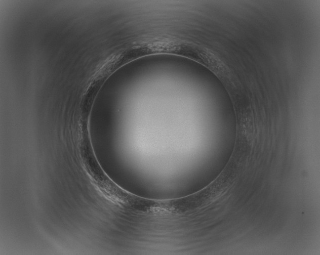X0000053000690200507081234