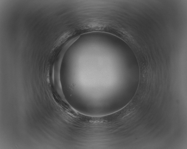 X0000053000693200507081234