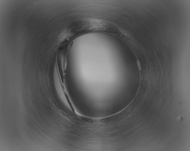 X0000053000696200507081234