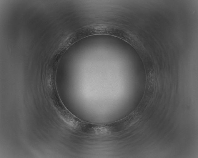 X0000053000698200507081234