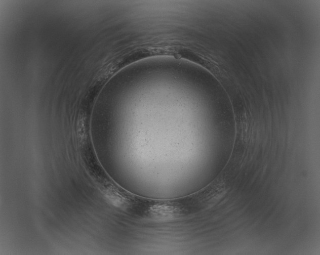 X0000053000699200507081233