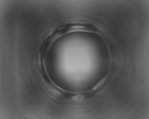 X0000053000700200507081233
