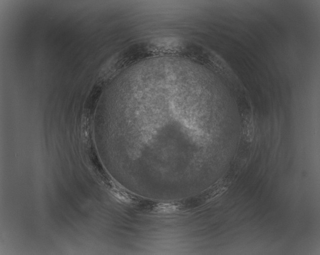 X0000053000701200507081233