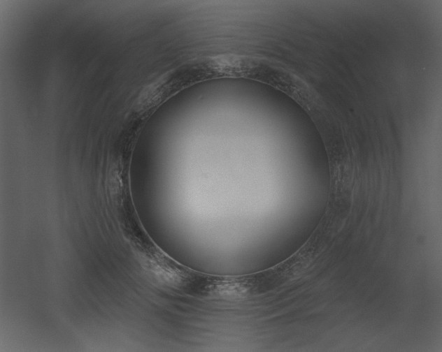 X0000053000702200507081233