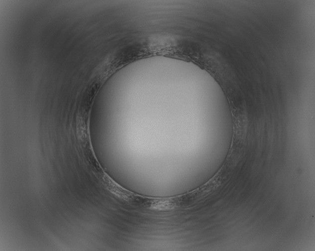 X0000053000705200507081233