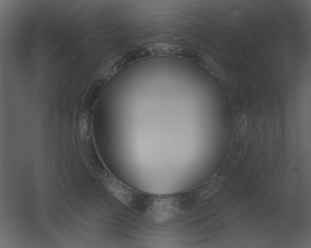 X0000053000709200507081233