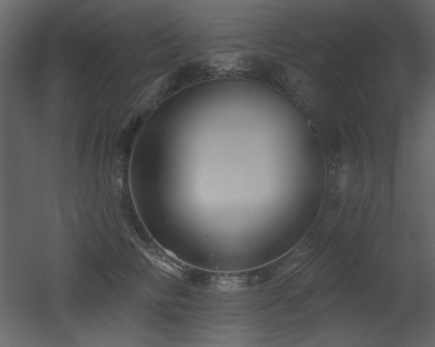 X0000053000710200507081233