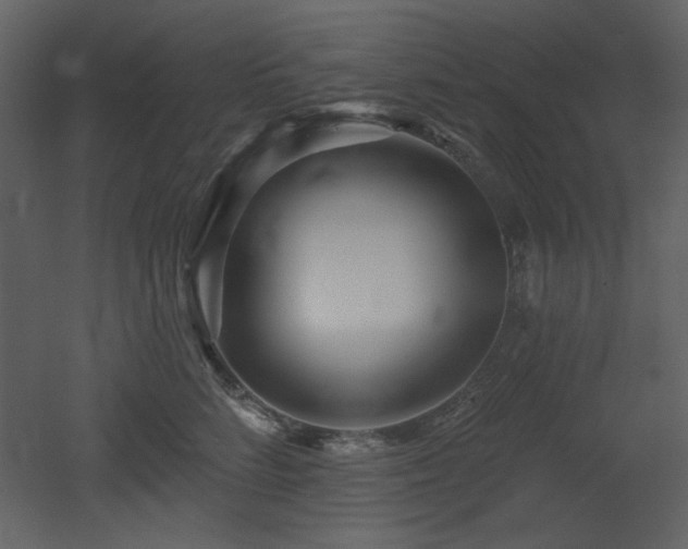 X0000053000712200507081233