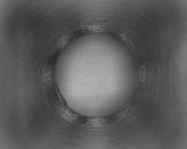 X0000053000713200507081233