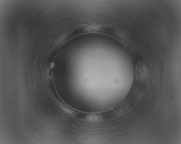 X0000053000714200507081233