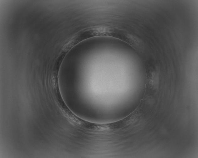 X0000053000715200507081233