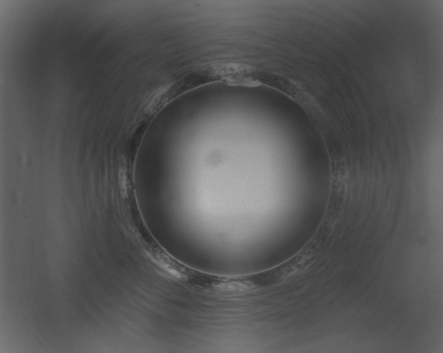 X0000053000716200507081233