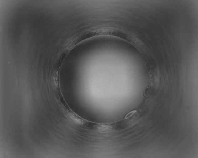 X0000053000718200507081233
