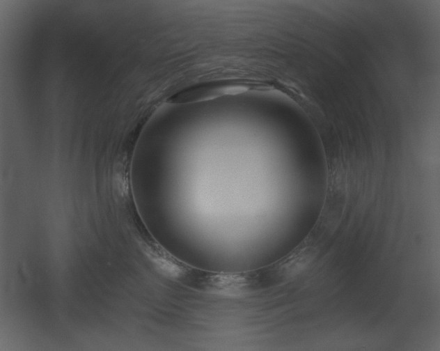 X0000053000719200507081233