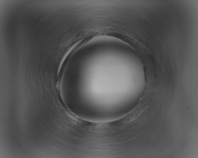 X0000053000720200507081233