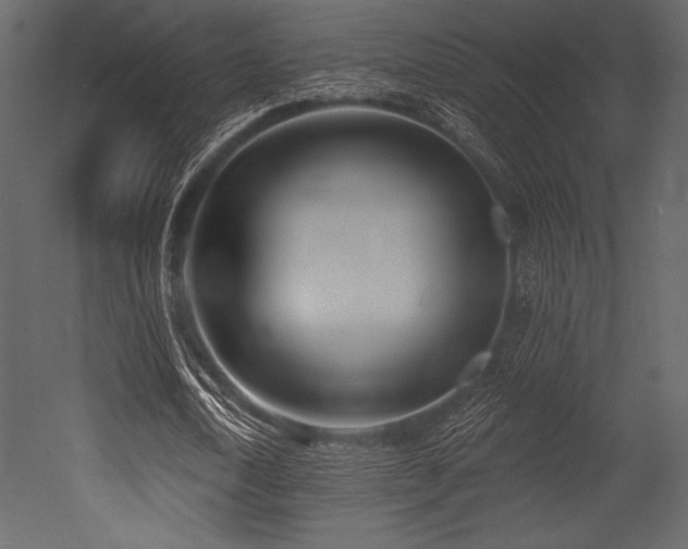 X0000053000722200507081232