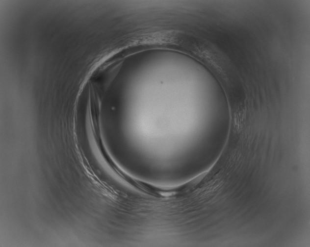 X0000053000724200507081232