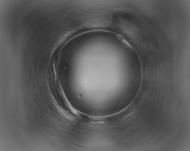 X0000053000725200507081232