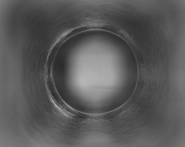 X0000053000726200507081232