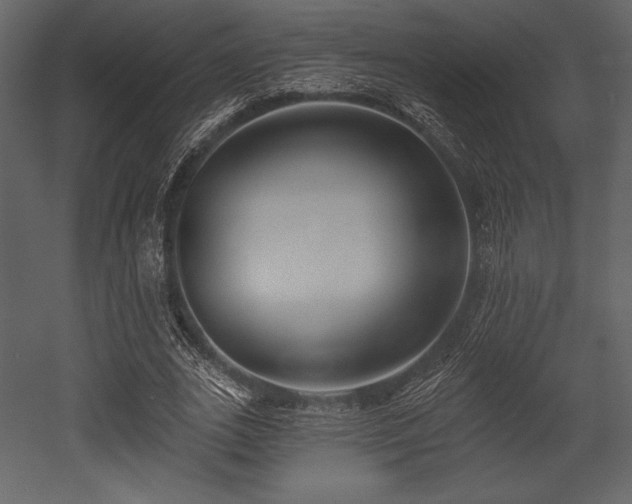 X0000053000727200507081232