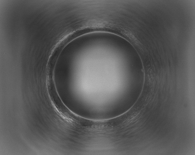 X0000053000728200507081232