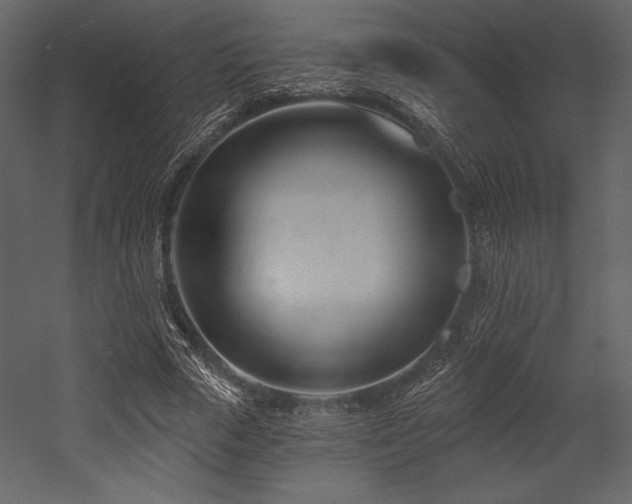 X0000053000729200507081232