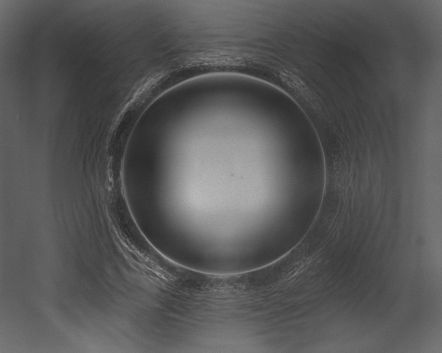 X0000053000731200507081232