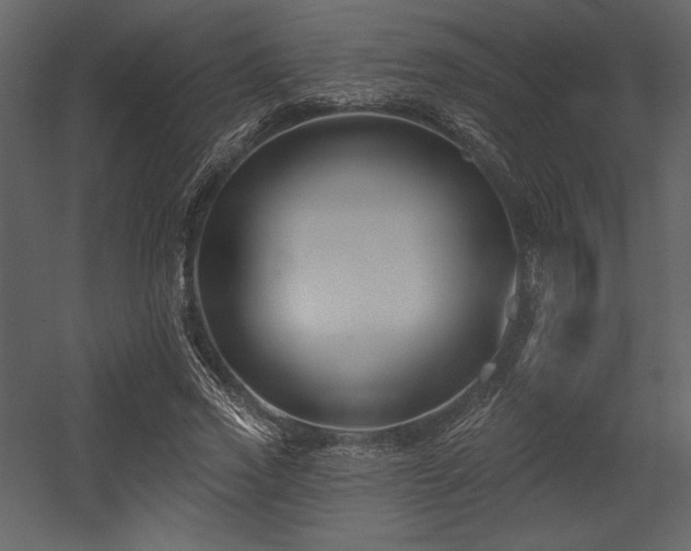 X0000053000733200507081233