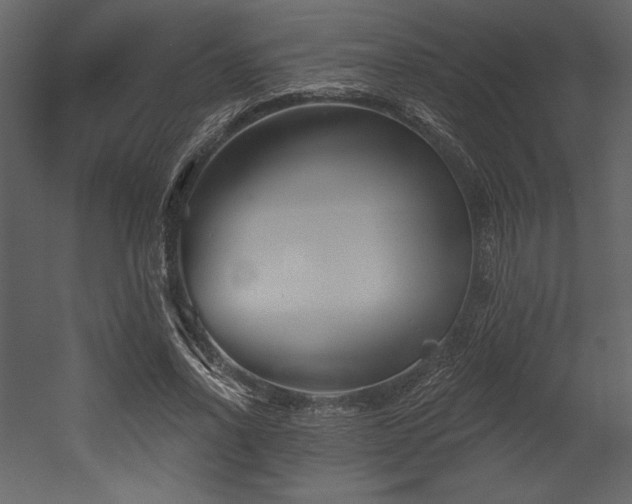 X0000053000734200507081233
