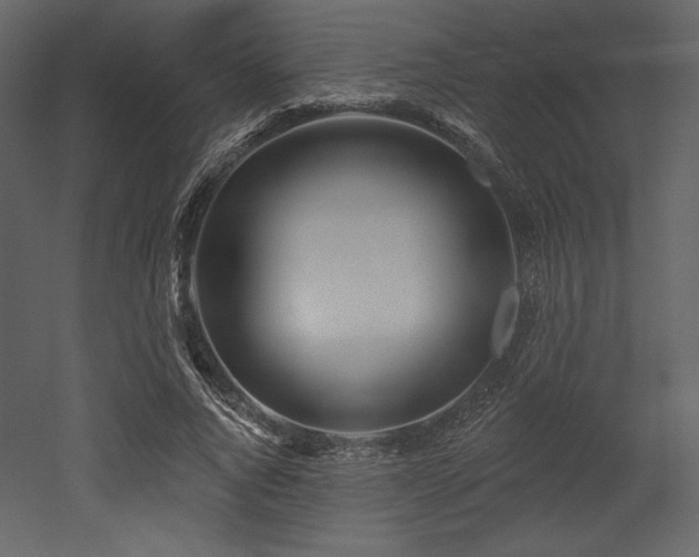 X0000053000736200507081233