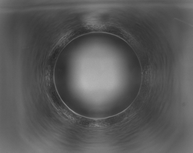 X0000053000739200507081233