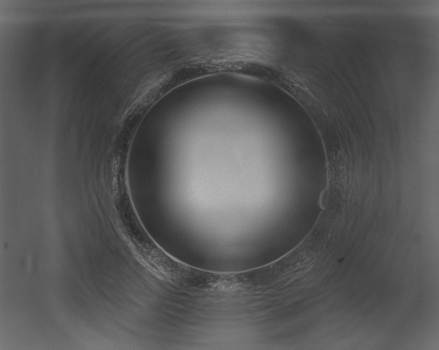 X0000053000742200507081233