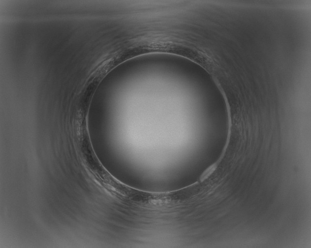 X0000053000744200507081233