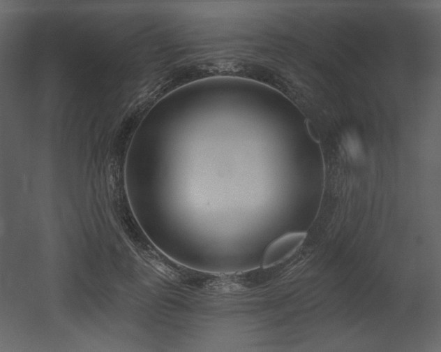 X0000053000747200507081233