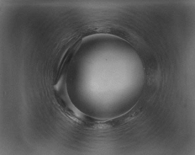 X0000053000748200507081233
