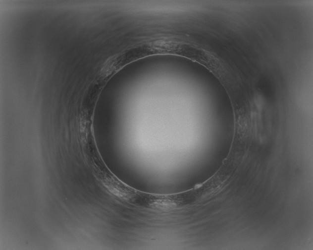 X0000053000749200507081233