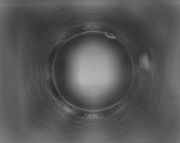 X0000053000751200507081233