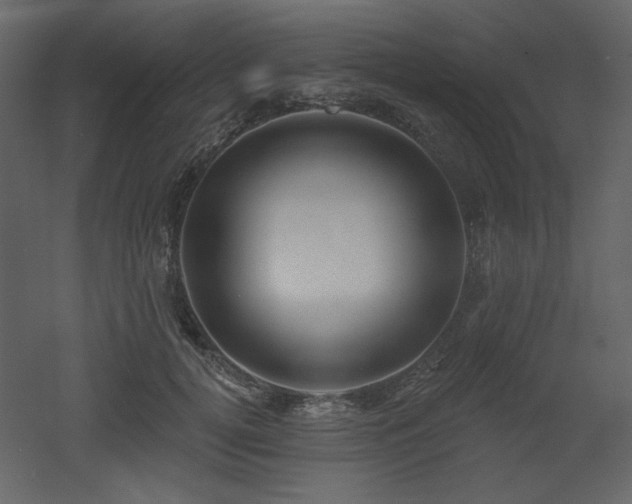 X0000053000752200507081233