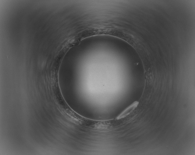 X0000053000756200507081233