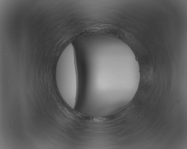 X0000053000758200507081233