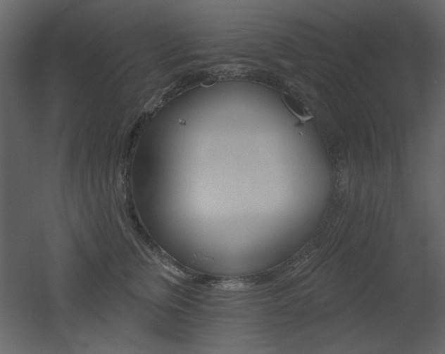 X0000053000759200507081233