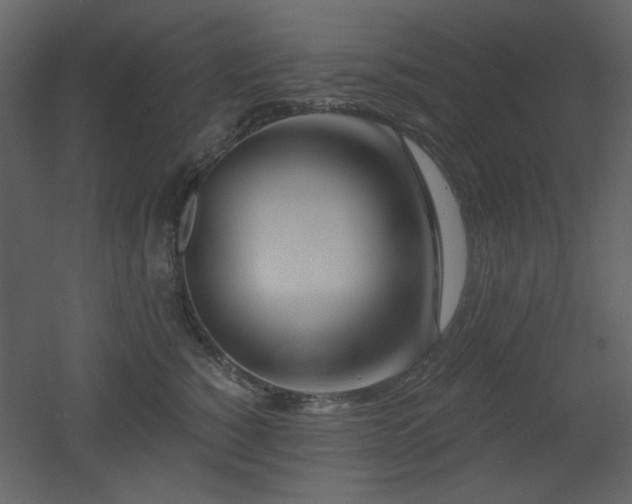 X0000053000760200507081233