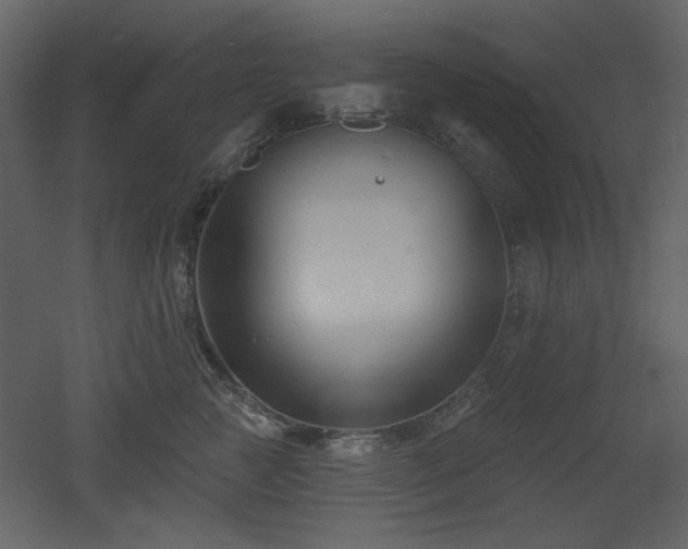 X0000053000761200507081233