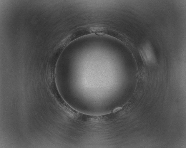X0000053000763200507081233